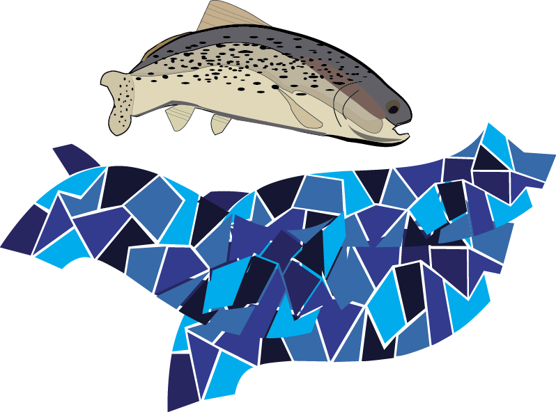 This is a graphic of a trout