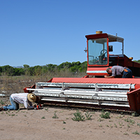 Neighbors Joe Runyan and Wendel Hann prepare equipment prior to cutting an alfalfa field on the Gila River flood plain. Photo Credits: Mary Harner